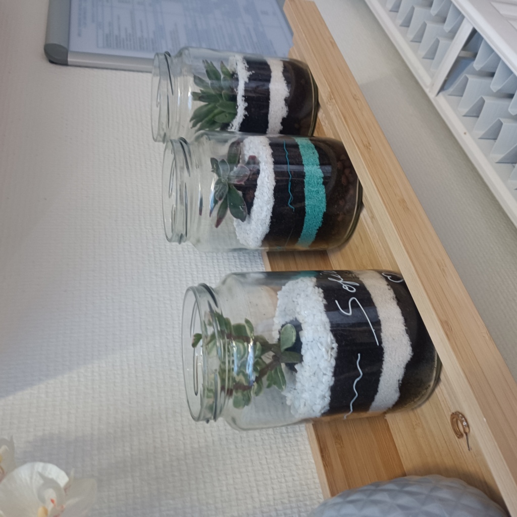 3 mini-terrarium posés sur une étagère