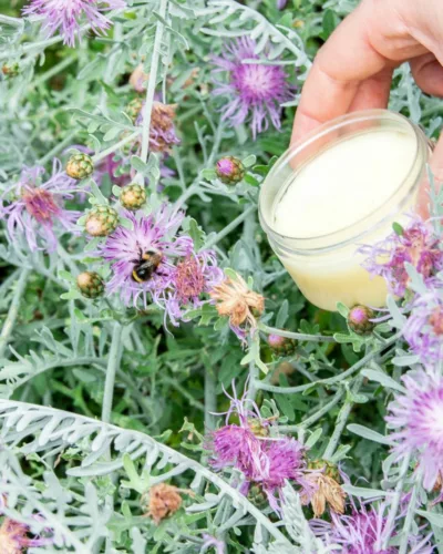 baume pour le corps entièrement naturel fabriqué en ateliers Eco-Actitude.